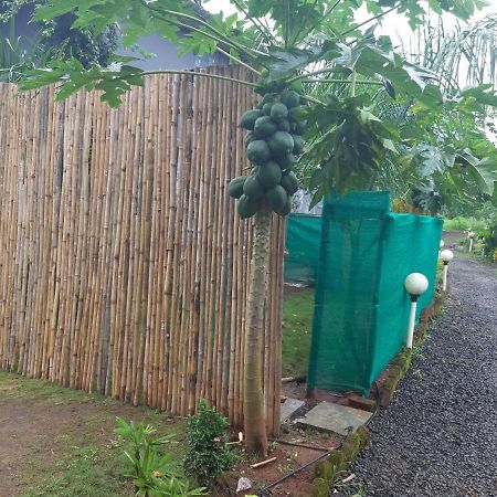 River Ranch Saralgaon Luaran gambar